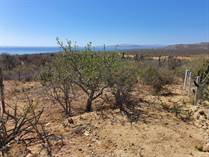 Lots and Land for Sale in The Ridge, Los Barriles, Baja California Sur $120,000