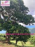 Lots and Land for Sale in El Cupey, Puerto Plata $168,000
