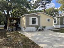 Homes for Sale in Paradise Village, Tampa, Florida $135,000