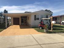 Homes for Sale in The Lakes At Countrywood, Plant City, Florida $29,500