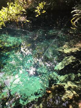 Ojos Indigenous lakes in Punta Cana