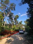 Lots and Land for Sale in Region 15, Tulum, Quintana Roo $34,000,000