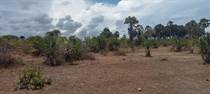 Farms and Acreages for Sale in Msambweni KES50,000,000