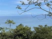 Lots and Land for Sale in Dominical, Puntarenas $395,000