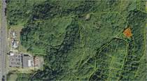 Lots and Land for Sale in Victoria, Aguadilla, Puerto Rico $74,895