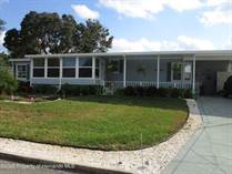 Homes Sold in Brookridge, Florida $249,000