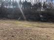 Lots and Land for Sale in Byrnes Mill, Missouri $38,000