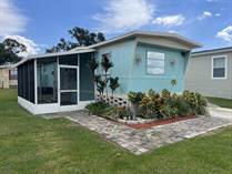 Homes for Sale in Fountainview, Tampa, Florida $49,900