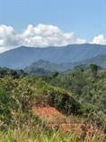 Lots and Land for Sale in Punta Mala, Puntarenas $76,000