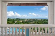 Homes for Sale in Harbour Lights Estates, Palmas del Mar, Puerto Rico $3,600,000