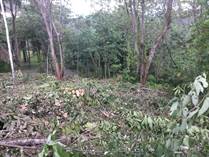 Lots and Land for Sale in Quepos, Puntarenas $75,000