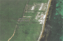 Lots and Land for Sale in San Pedro, Ambergris Caye, Belize $125,000