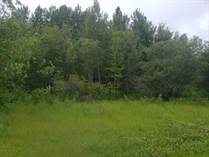 Lots and Land Sold in Lac Ste. Anne County, Alberta $59,800