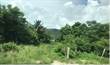 Lots and Land for Sale in Miradero, Puerto Rico $899,000
