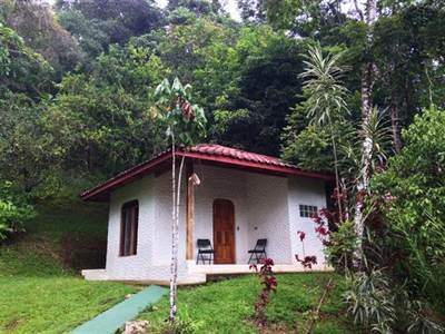 Ecolodge- Mountain Hotel in Dominical 