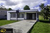 Homes for Sale in Piedra Gorda, Camuy, Puerto Rico $119,000