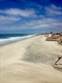 Homes for Rent/Lease in Playas de Rosarito, Baja California $250 daily