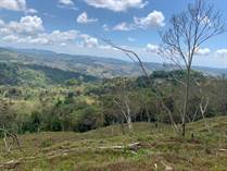 Farms and Acreages for Sale in Platanillo, Puntarenas $235,000