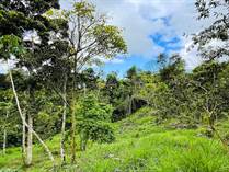 Lots and Land for Sale in Tinamastes, Tumbas, Puntarenas $119,000