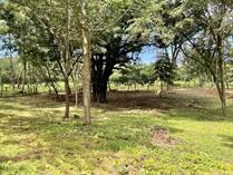 Lots and Land for Sale in Cabo Velas District, Matapalo, Guanacaste $95,000