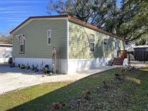 Homes for Sale in Paradise Village, Tampa, Florida $99,000