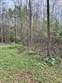 Lots and Land for Sale in Zion, Ontario $174,900