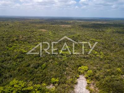 100 Acre Prime Investment Property