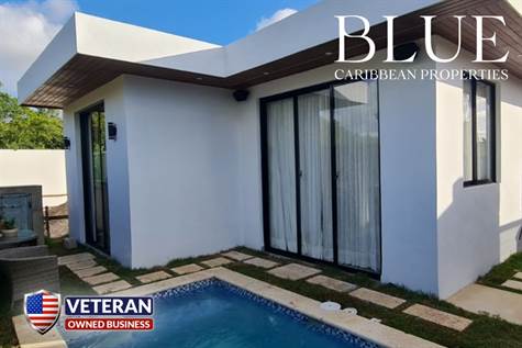 PUNTA CANA REAL ESTATE - AMAZING AND BEAUTIFUL VILLAS FOR SALE IN PUNTA CANA