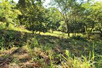 Lots and Land for Sale in Ojochal, Puntarenas $54,900