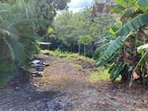 Lots and Land for Sale in Escobal, Atenas, Alajuela $85,000