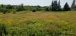 Lots and Land for Sale in Strathcona, Prince Edward Island $29,500