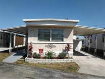 Homes for Sale in Pelican Creek Village, St. Petersburg, Florida $33,900