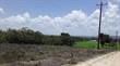 Lots and Land for Sale in Santa Elena, Cayo $15,000