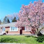 Homes for Sale in Holmedale, Brantford, Ontario $699,900