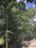 Lots and Land for Sale in Rancho San Lorenzo, Puerto Aventuras, Quintana Roo $199,000
