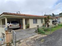 Homes for Sale in Barrio Pasto, Aibonito, Puerto Rico $114,000