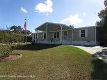 Homes for Sale in Brookridge, Florida $349,000