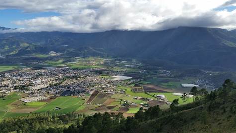 land - view of Constanza town