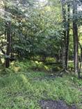 Lots and Land for Sale in Pocono Pines, Pennsylvania $40,000