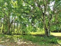 Lots and Land for Sale in Palm Coast, Florida $63,000