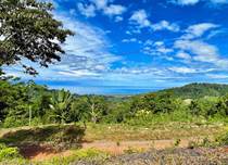 Lots and Land for Sale in Lagunas, Puntarenas $120,000