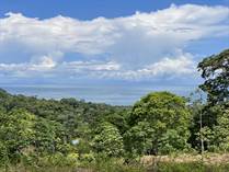 Lots and Land for Sale in Uvita, Puntarenas $1,500,000