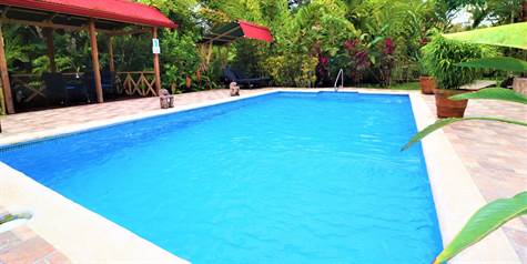 Big pool for guests