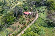 Homes for Sale in Tinamastes, Puntarenas $299,000
