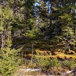 Lots and Land for Sale in Middle LaHave, Nova Scotia $27,900