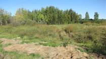 Lots and Land for Sale in Sangudo, Alberta $86,900