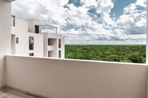 Condos for Sale in Arbolada, Quintana Roo $3,800,000