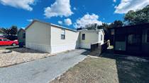 Homes for Sale in Lamplighter On The River, Tampa, Florida $99,000