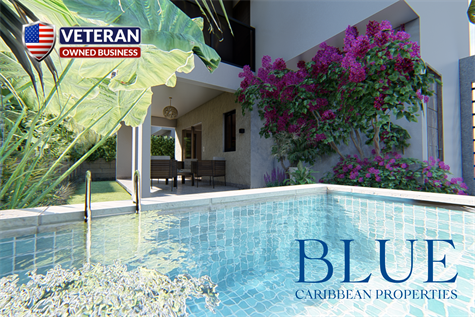 PUNTA CANA REAL ESTATE - AMAZING AND BEAUTIFUL VILLAS FOR SALE IN PUNTA CANA -POOL