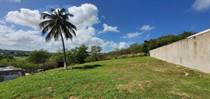 Lots and Land for Sale in Bo Carrizalez, Hatillo, Puerto Rico $46,000